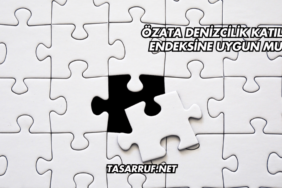 Özata Denizcilik Katılım Endeksine Uygun mu?