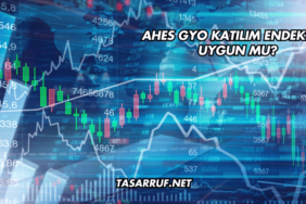 Ahes GYO Katılım Endeksine Uygun mu?