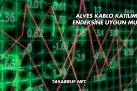 Alves Kablo Katılım Endeksine Uygun mu?