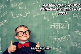 Amerika'da 6 Aylık Dil Eğitimi Maliyeti Ne Kadar 2025