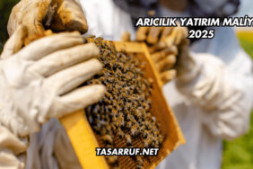 Arıcılık Yatırım Maliyeti 2025