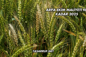 Arpa Ekim Maliyeti Ne Kadar 2025