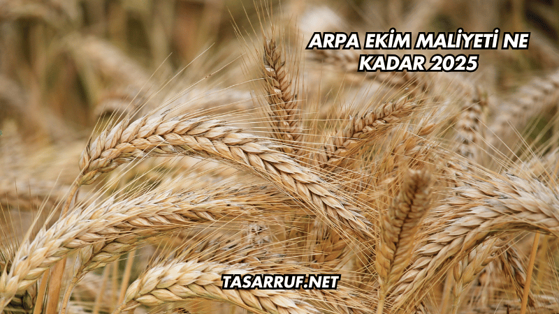 Arpa Ekim Maliyeti Ne Kadar 2025