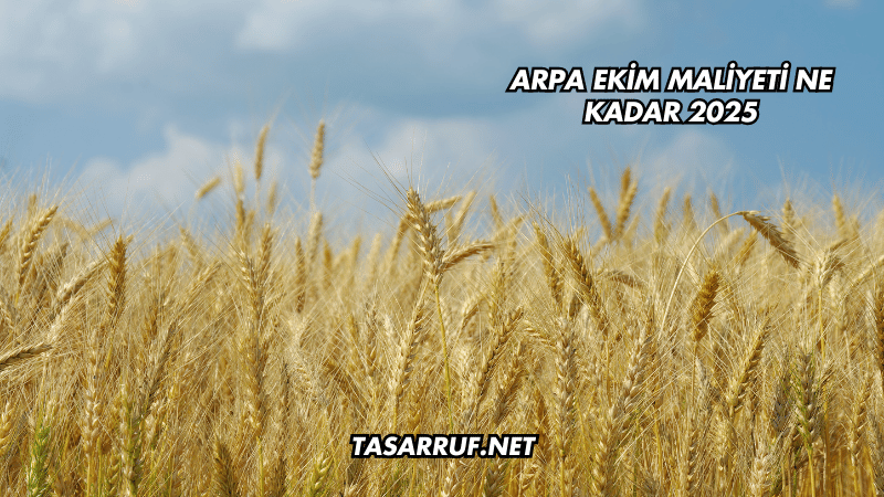 Arpa Ekim Maliyeti Ne Kadar 2025