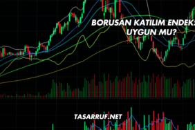 Borusan Katılım Endeksine Uygun mu?