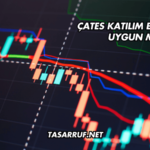 ÇATES Katılım Endeksine Uygun mu?