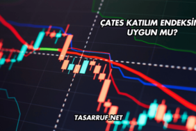 ÇATES Katılım Endeksine Uygun mu?