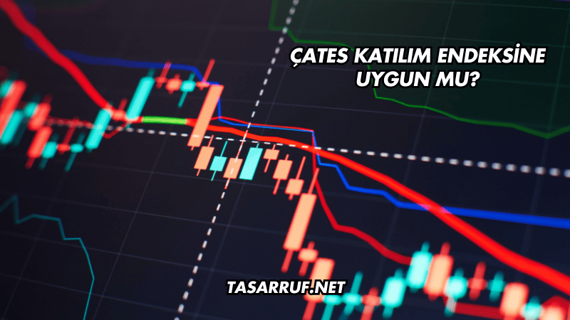 ÇATES Katılım Endeksine Uygun mu?