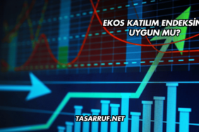 Ekos Katılım Endeksine Uygun mu (2)