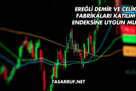 Ereğli Demir ve Çelik Fabrikaları Katılım Endeksine Uygun mu?