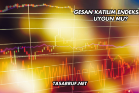 GESAN Katılım Endeksine Uygun mu?