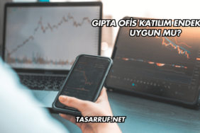 Gıpta Ofis Katılım Endeksine Uygun mu?