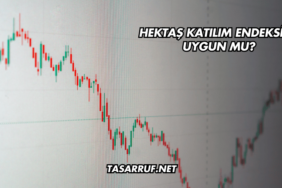 Hektaş Katılım Endeksine Uygun mu?