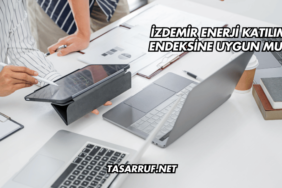 İZDEMİR Enerji Katılım Endeksine Uygun mu?