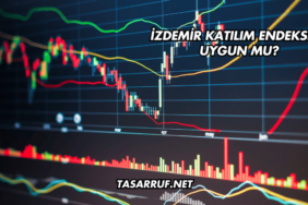 İzdemir Katılım Endeksine Uygun mu?