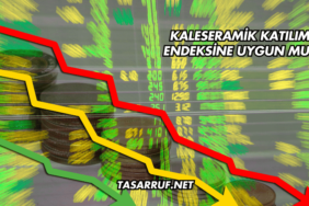 Kaleseramik Katılım Endeksine Uygun mu?