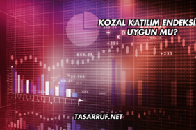 Kozal Katılım Endeksine Uygun mu?