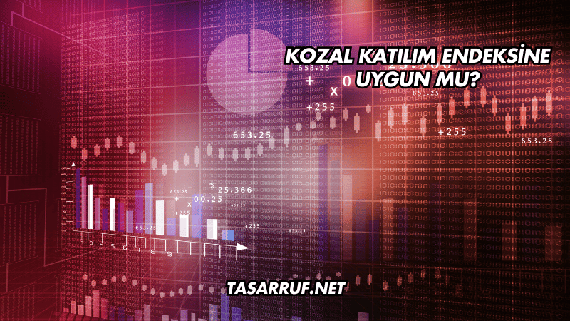 Kozal Katılım Endeksine Uygun mu?