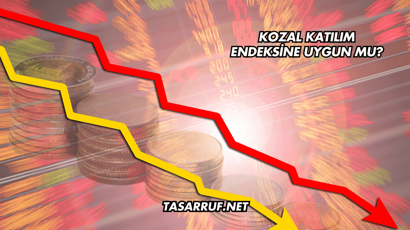 Kozal Katılım Endeksine Uygun mu?