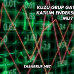Kuzu Grup Gayrimenkul Katılım Endeksine Uygun mu?