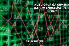 Kuzu Grup Gayrimenkul Katılım Endeksine Uygun mu?