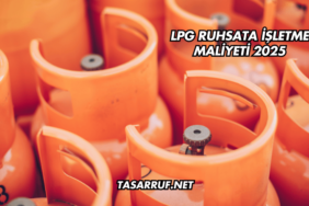 LPG Ruhsata İşletme Maliyeti 2025