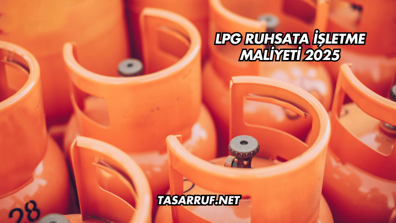 LPG Ruhsata İşletme Maliyeti 2025