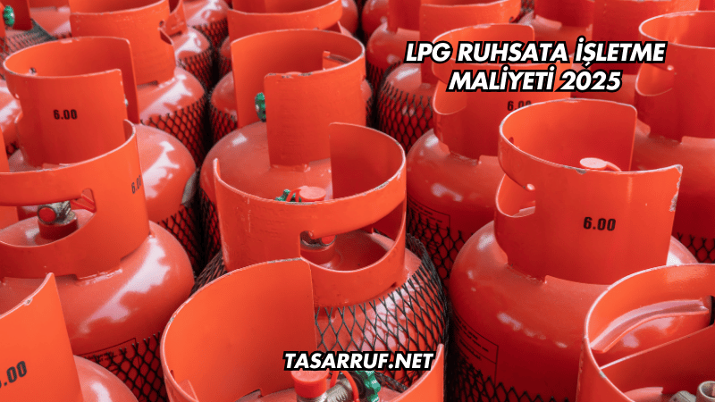 LPG Ruhsata İşletme Maliyeti 2025
