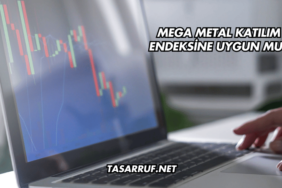 Mega Metal Katılım Endeksine Uygun mu?