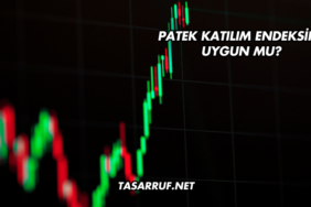 Patek Katılım Endeksine Uygun mu?