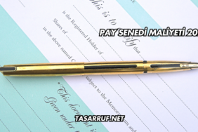 Pay Senedi Maliyeti 2025