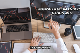 Pegasus Katılım Endeksine Uygun mu?