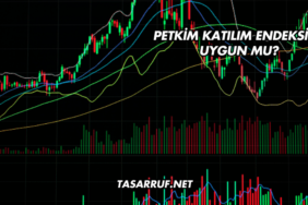 Petkim Katılım Endeksine Uygun mu?