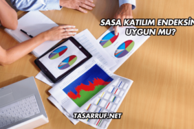 Sasa Katılım Endeksine Uygun mu?