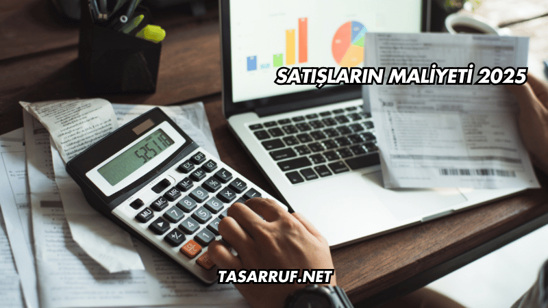Satışların Maliyeti 2025
