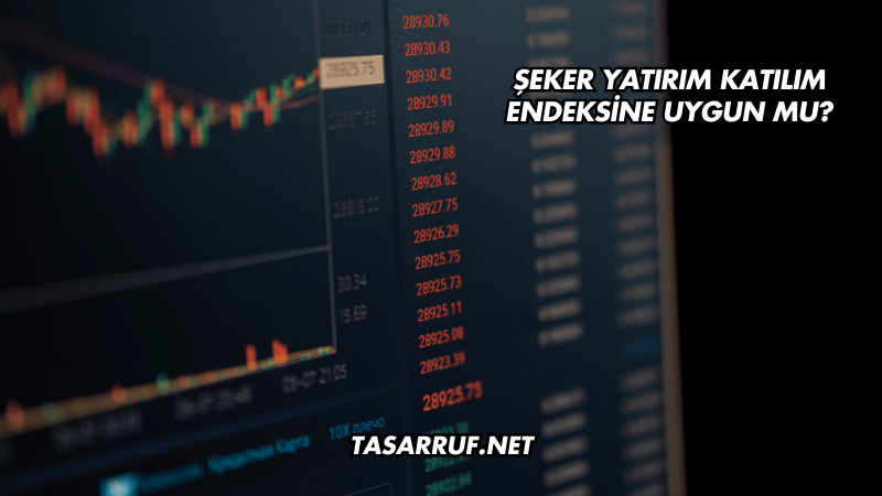 Şeker Yatırım Katılım Endeksine Uygun mu?
