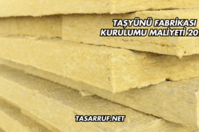 Taşyünü Fabrikası Kurulumu Maliyeti 2025