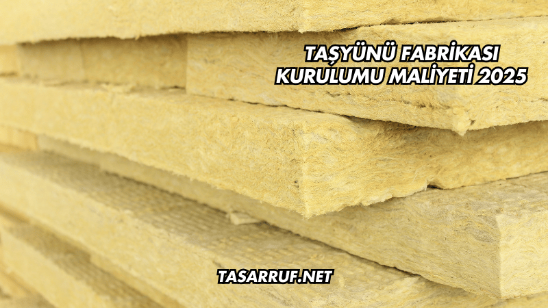 Taşyünü Fabrikası Kurulumu Maliyeti 2025