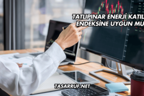 Tatlıpınar Enerji Katılım Endeksine Uygun mu?