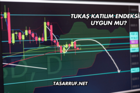 Tukaş Katılım Endeksine Uygun mu?