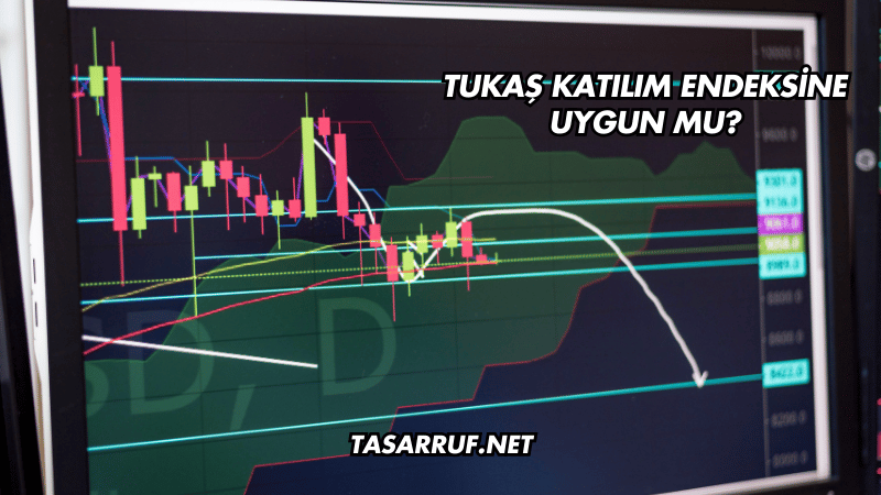 Tukaş Katılım Endeksine Uygun mu?