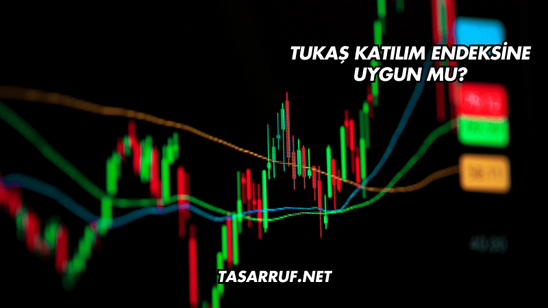 Tukaş Katılım Endeksine Uygun mu?
