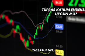 Tüpraş Katılım Endeksine Uygun mu?