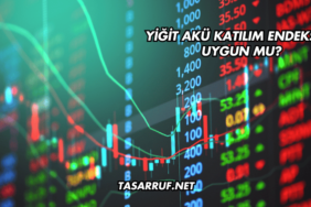 Yiğit Akü Katılım Endeksine Uygun mu?