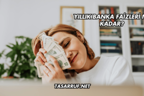 Yıllık Banka Faizleri Ne Kadar?