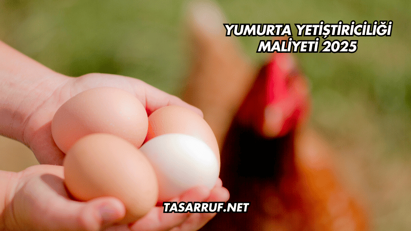 Yumurta Yetiştiriciliği Maliyeti 2025