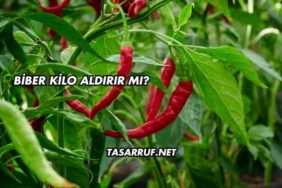 Biber Kilo Aldırır mı?