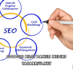 Google Bilgi Paneli Nedir?